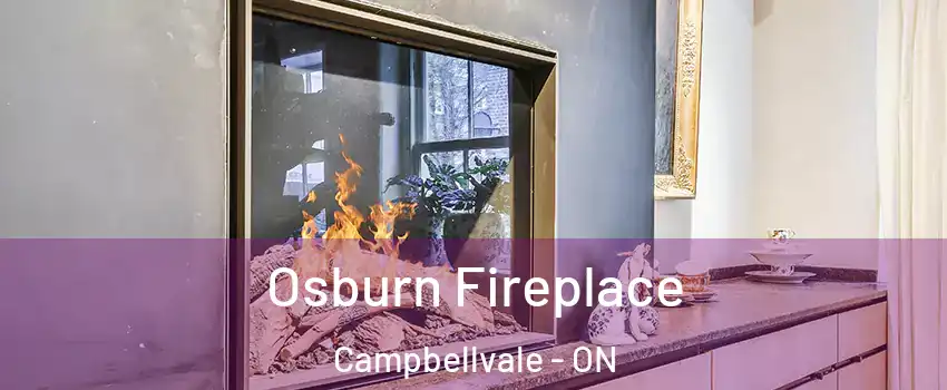  Osburn Fireplace Campbellvale - ON