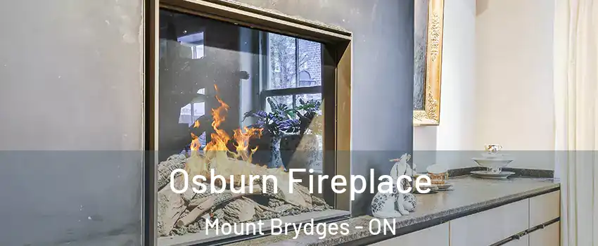  Osburn Fireplace Mount Brydges - ON