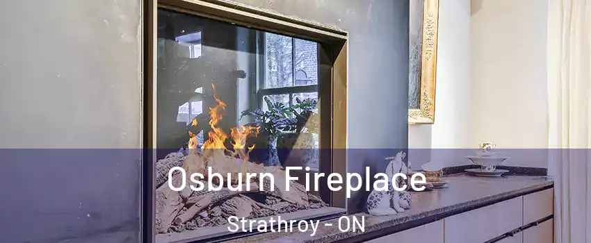  Osburn Fireplace Strathroy - ON
