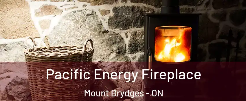  Pacific Energy Fireplace Mount Brydges - ON