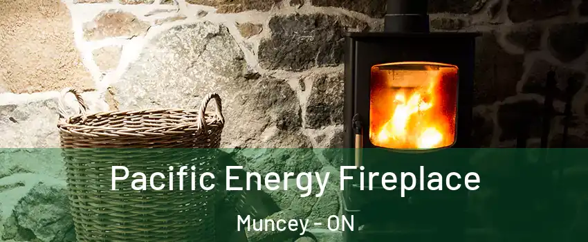  Pacific Energy Fireplace Muncey - ON