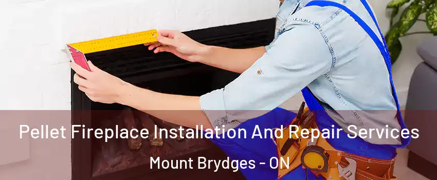  Pellet Fireplace Installation And Repair Services Mount Brydges - ON
