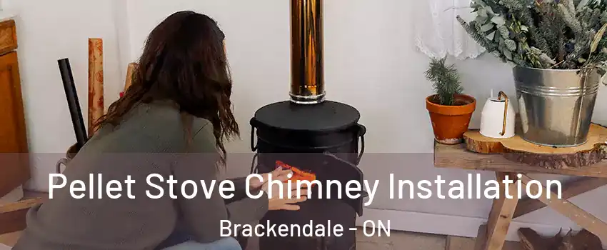  Pellet Stove Chimney Installation Brackendale - ON