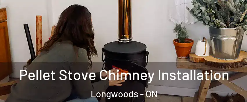 Pellet Stove Chimney Installation Longwoods - ON