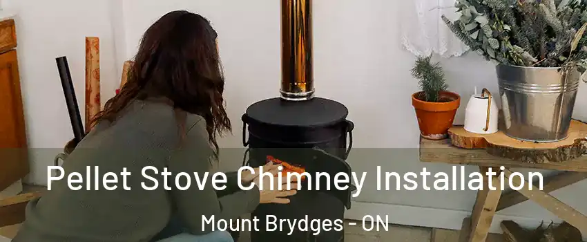 Pellet Stove Chimney Installation Mount Brydges - ON