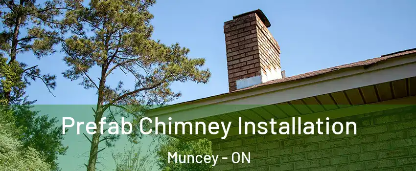  Prefab Chimney Installation Muncey - ON