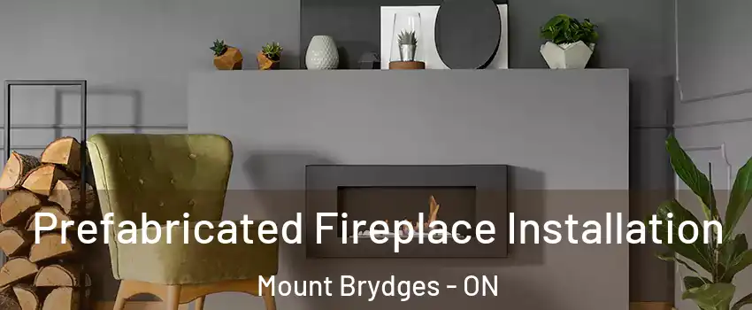  Prefabricated Fireplace Installation Mount Brydges - ON