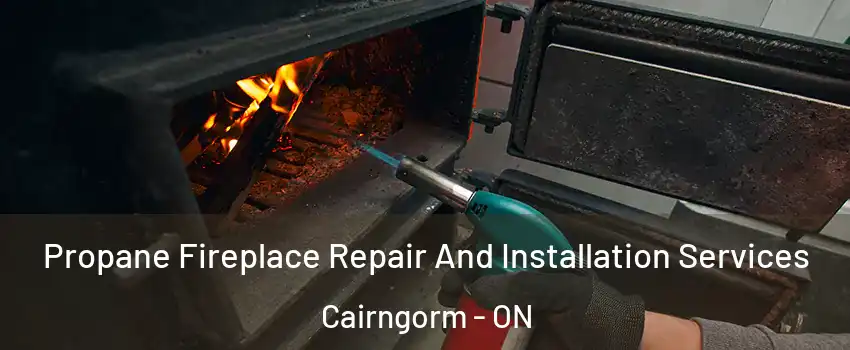  Propane Fireplace Repair And Installation Services Cairngorm - ON