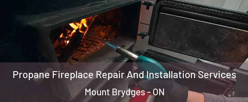  Propane Fireplace Repair And Installation Services Mount Brydges - ON