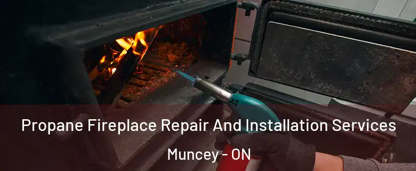  Propane Fireplace Repair And Installation Services Muncey - ON
