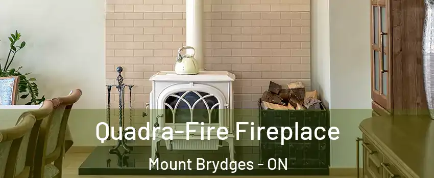  Quadra-Fire Fireplace Mount Brydges - ON