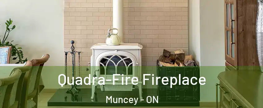  Quadra-Fire Fireplace Muncey - ON