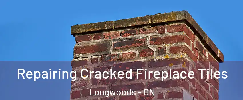  Repairing Cracked Fireplace Tiles Longwoods - ON