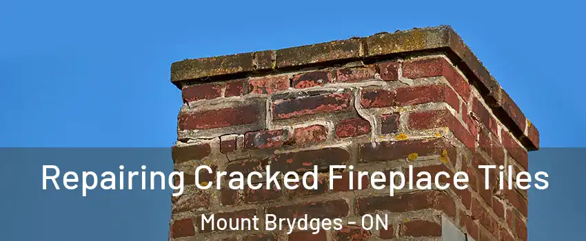  Repairing Cracked Fireplace Tiles Mount Brydges - ON