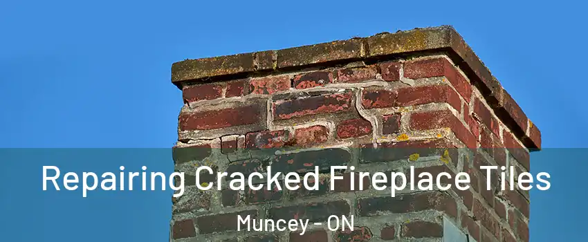  Repairing Cracked Fireplace Tiles Muncey - ON