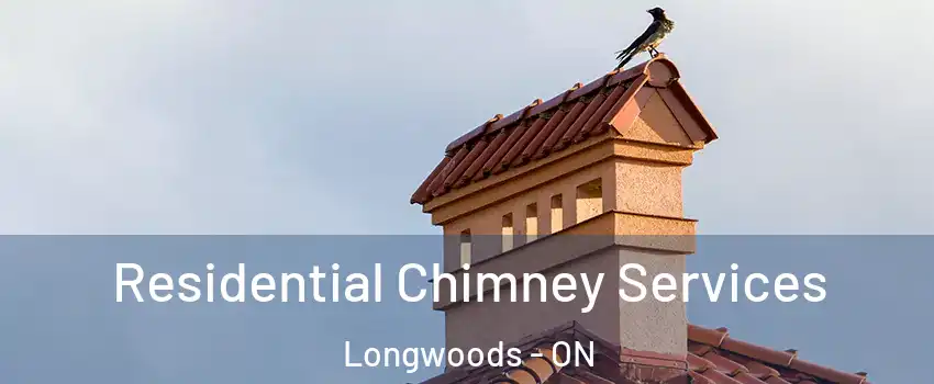  Residential Chimney Services Longwoods - ON