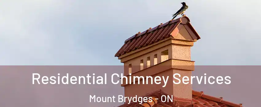  Residential Chimney Services Mount Brydges - ON