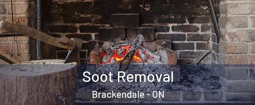  Soot Removal Brackendale - ON