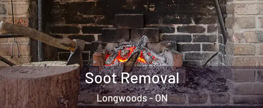  Soot Removal Longwoods - ON