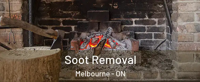  Soot Removal Melbourne - ON