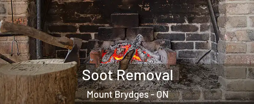  Soot Removal Mount Brydges - ON