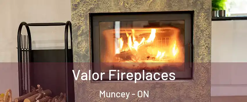  Valor Fireplaces Muncey - ON