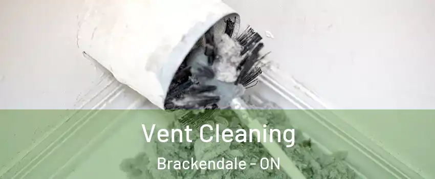  Vent Cleaning Brackendale - ON