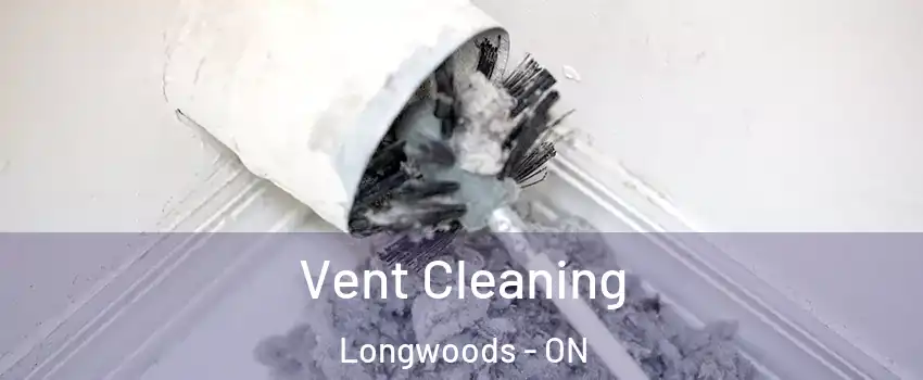  Vent Cleaning Longwoods - ON