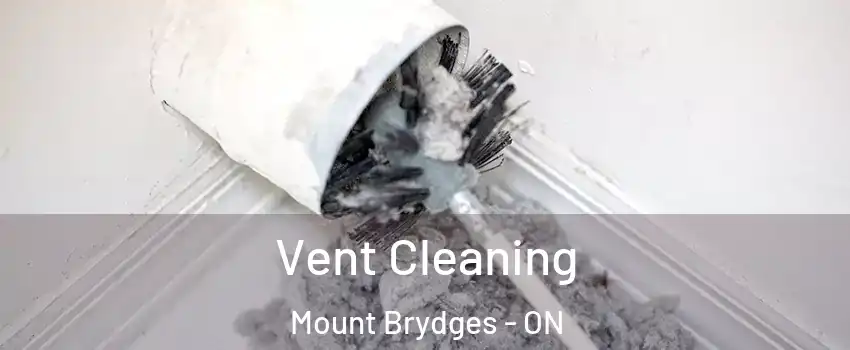  Vent Cleaning Mount Brydges - ON