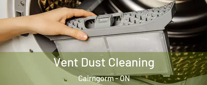  Vent Dust Cleaning Cairngorm - ON