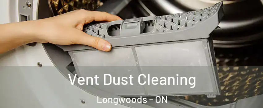  Vent Dust Cleaning Longwoods - ON