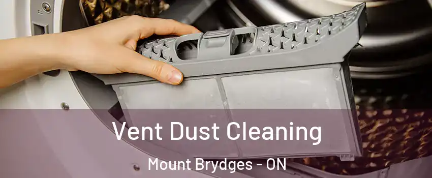  Vent Dust Cleaning Mount Brydges - ON