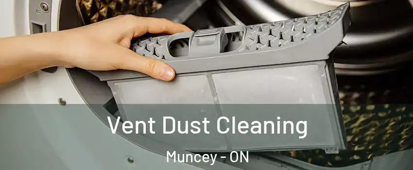  Vent Dust Cleaning Muncey - ON