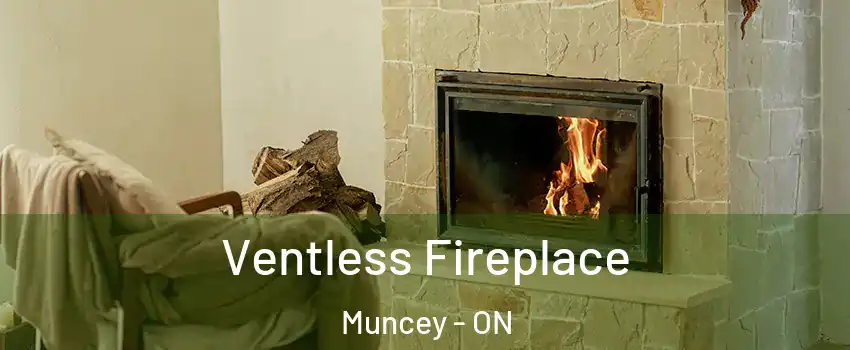  Ventless Fireplace Muncey - ON