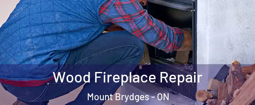  Wood Fireplace Repair Mount Brydges - ON