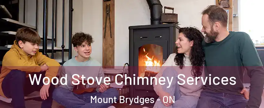  Wood Stove Chimney Services Mount Brydges - ON
