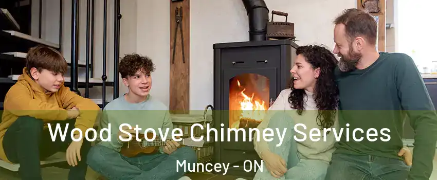  Wood Stove Chimney Services Muncey - ON