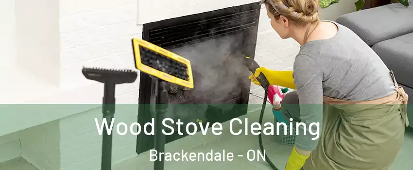 Wood Stove Cleaning Brackendale - ON