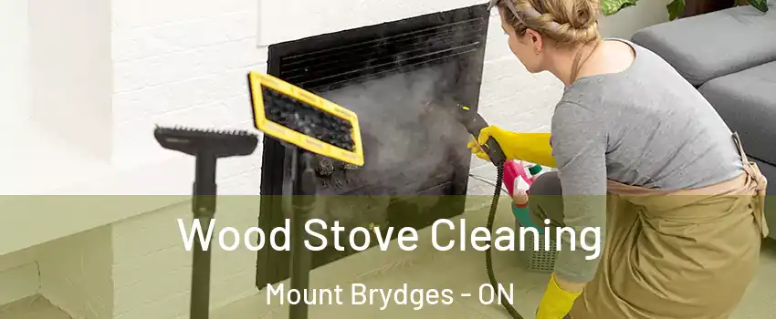  Wood Stove Cleaning Mount Brydges - ON