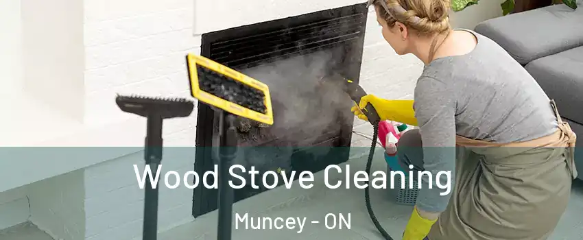  Wood Stove Cleaning Muncey - ON
