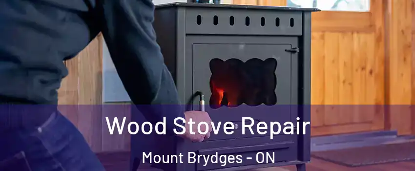  Wood Stove Repair Mount Brydges - ON